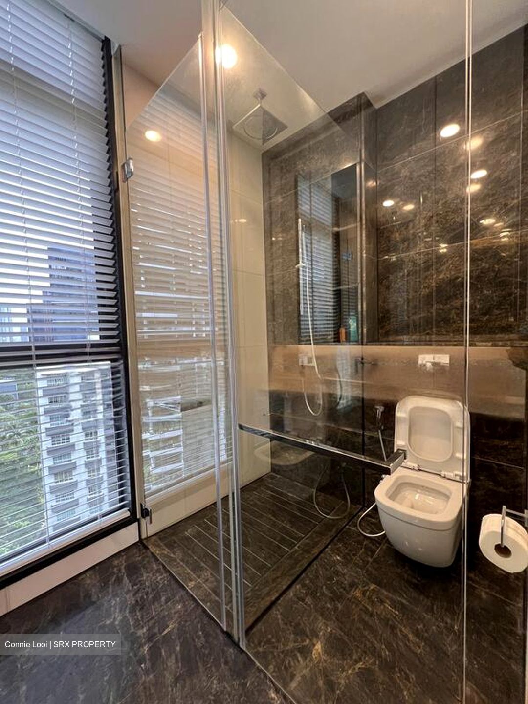 Cairnhill 16 (D9), Apartment #594346541